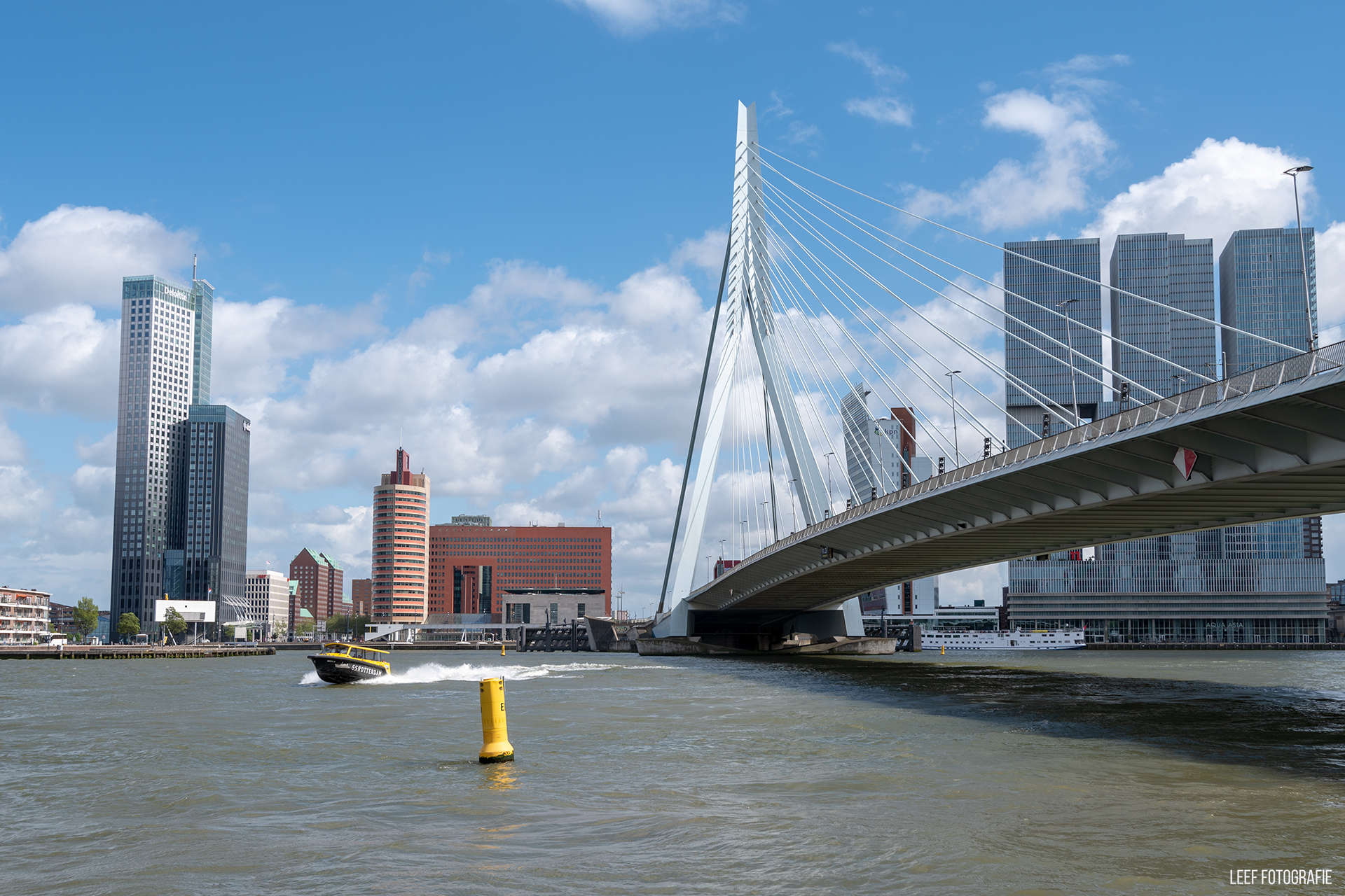 City Scape – Rotterdam